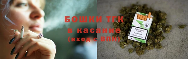 PSILOCYBIN Ладушкин