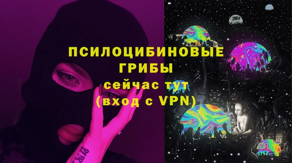 гидра Кулебаки