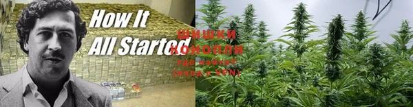 гидра Кулебаки