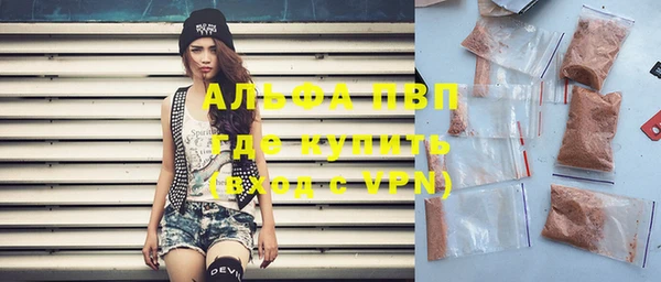 PSILOCYBIN Ладушкин