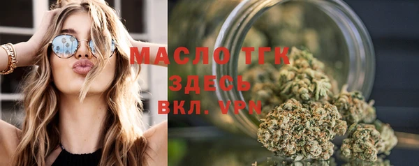 гидра Кулебаки