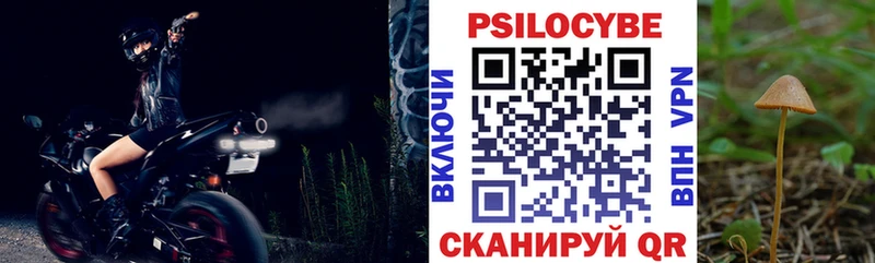 Псилоцибиновые грибы мицелий  Ладушкин 